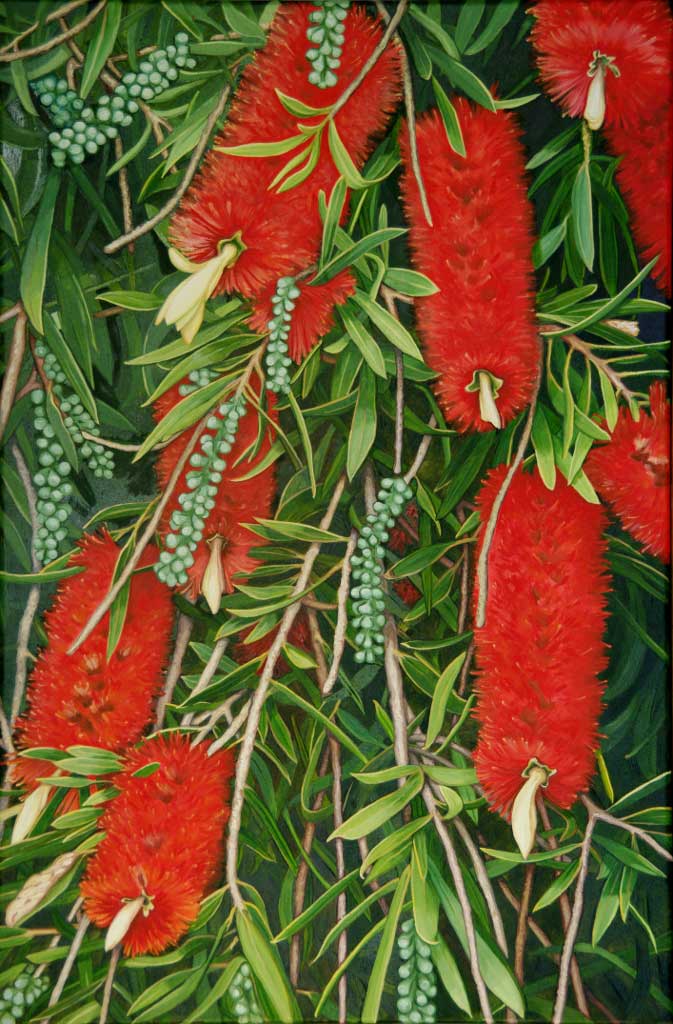 Meg Brassil Artist in Adelaide Paintings Flowers