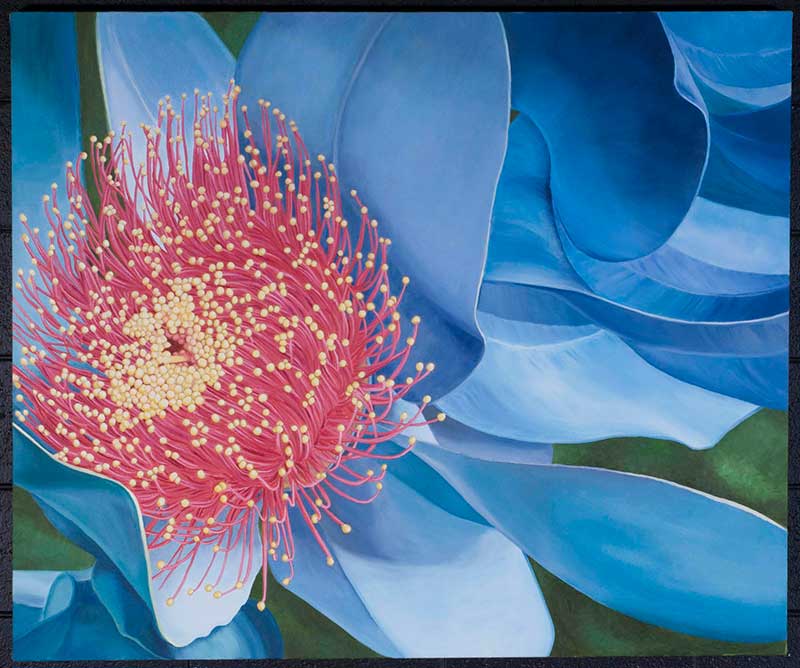 Meg Brassil Artist in Adelaide Paintings Flowers