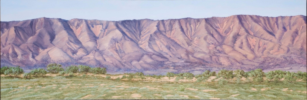 Meg Brassil Artist in Adelaide Paintings Landscapes